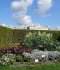 DSC00090.JPG