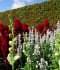 DSC00101.JPG