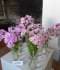 DSC09969.JPG
