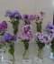 DSC09971.JPG