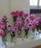 DSC09975.JPG