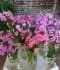 DSC09977.JPG