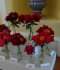 DSC00976.JPG