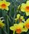 DSC09216.JPG