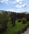 DSC09222.JPG