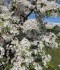 IMG_20200525_154023