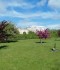 IMG_20200525_154721
