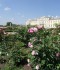 DSC02198