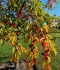 IMG_20190926_123639
