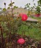 IMG_20191017_123714