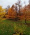IMG_20191017_124901
