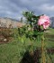 IMG_20191023_124945