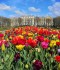 IMG_20200505_122920