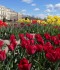 IMG_20200507_131021