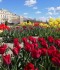 IMG_20200507_131025